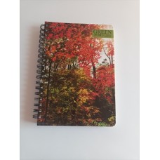  Τετράδιο  Σπιράλ 17X25/5Θ GREEN